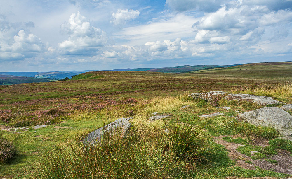 Big Moor Big Moor